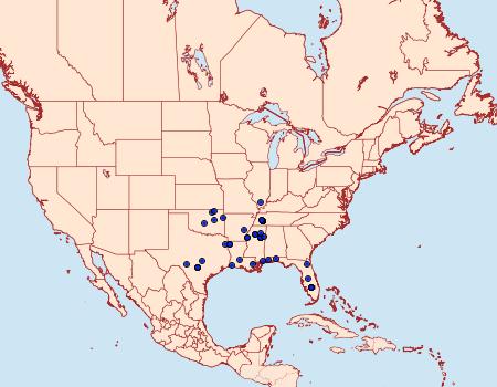 Distribution Data for Helcystogramma melantherella