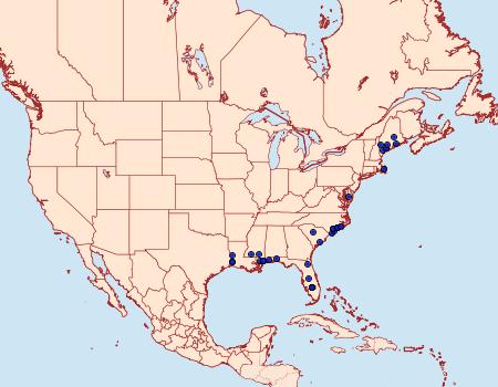 Distribution Data for Dichomeris bipunctellus