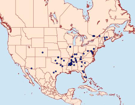 Distribution Data for Dichomeris georgiella