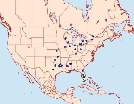 Distribution Data for Dichomeris glenni