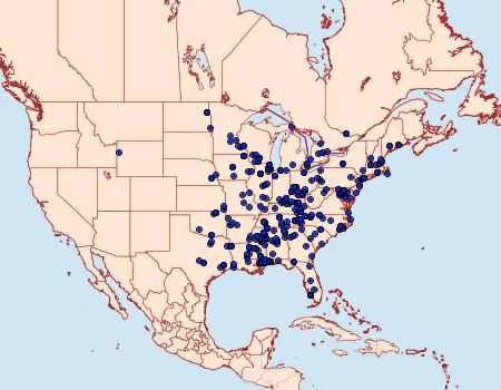 Distribution Data for Dichomeris ligulella