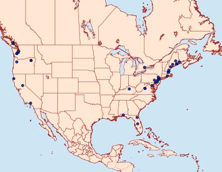 Distribution Data for Dichomeris marginella