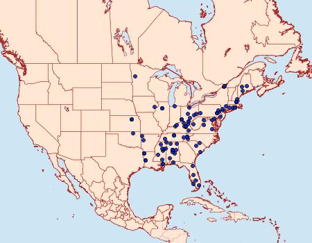 Distribution Data for Dichomeris punctidiscellus