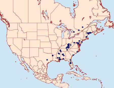 Distribution Data for Dichomeris vacciniella