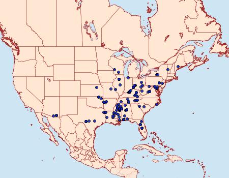 Distribution Data for Dichomeris ventrellus