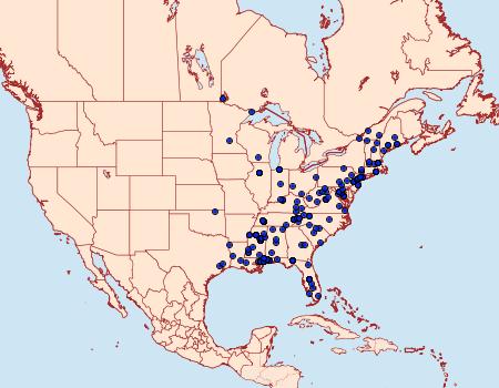 Distribution Data for Dichomeris punctipennella