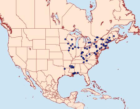 Distribution Data for Dichomeris ochripalpella