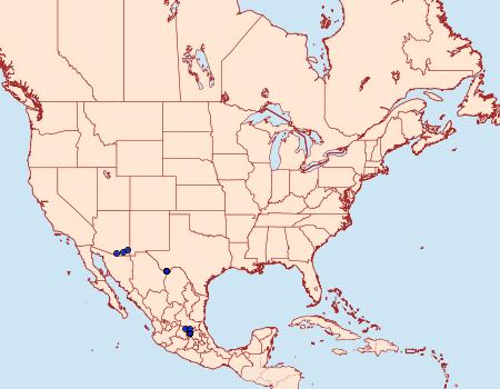 Distribution Data for Adela astrella