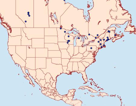 Distribution Data for Adela purpurea