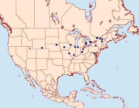 Distribution Data for Dichomeris copa