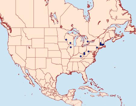 Distribution Data for Dichomeris furia