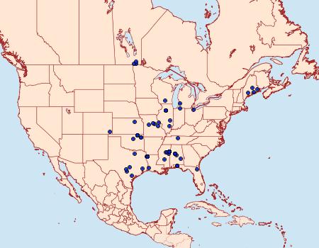 Distribution Data for Dichomeris costarufoella