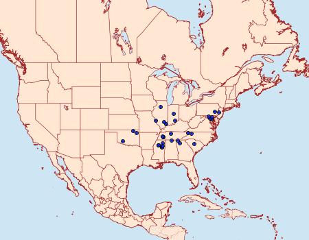 Distribution Data for Dichomeris laetitia