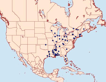 Distribution Data for Dichomeris inserrata