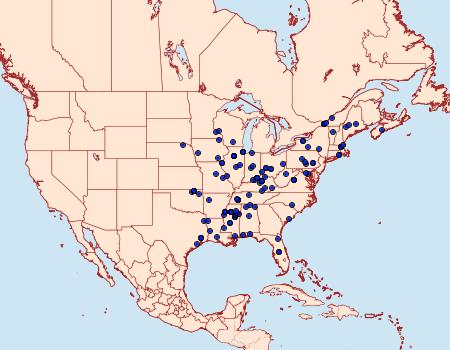 Distribution Data for Dichomeris juncidella