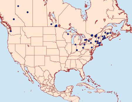 Distribution Data for Dichomeris leuconotella