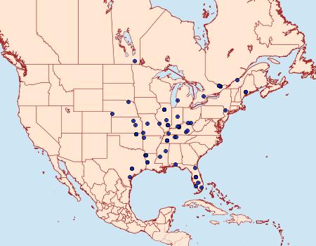 Distribution Data for Dichomeris serrativittella