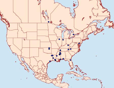 Distribution Data for Dichomeris vindex