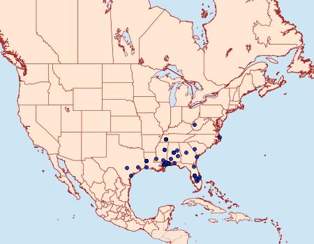 Distribution Data for Dichomeris aglaia