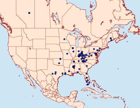 Distribution Data for Dichomeris setosella