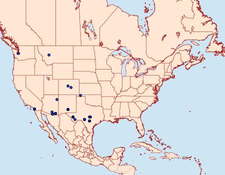 Distribution Data for Dichomeris simpliciella