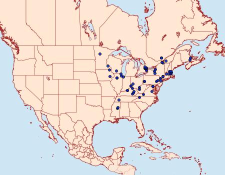 Distribution Data for Dichomeris nonstrigella