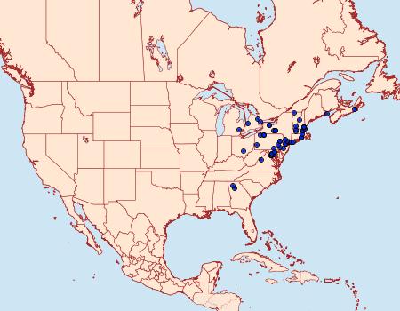 Distribution Data for Dichomeris heriguronis