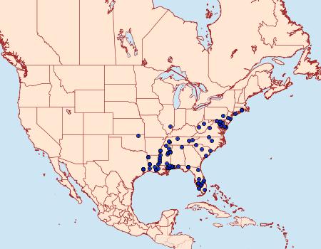 Distribution Data for Dichomeris kimballi