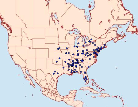 Distribution Data for Dichomeris inversella