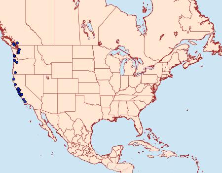 Distribution Data for Lotisma trigonana