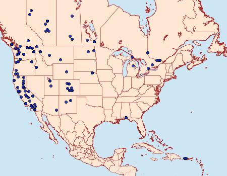 Distribution Data for Alucita montana