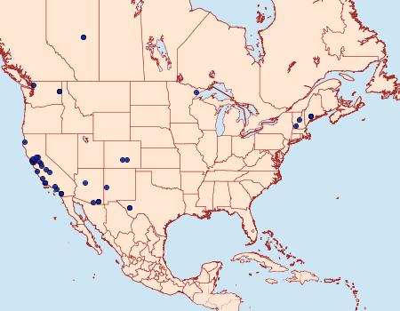 Distribution Data for Bondia comonana