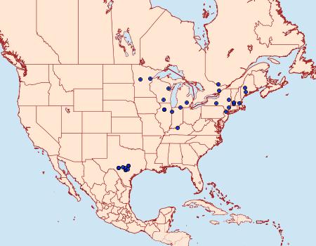 Distribution Data for Glyphipterix circumscriptella