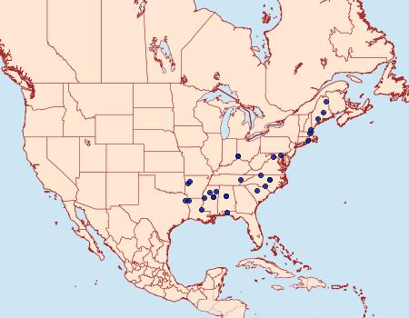 Distribution Data for Antispila nysaefoliella