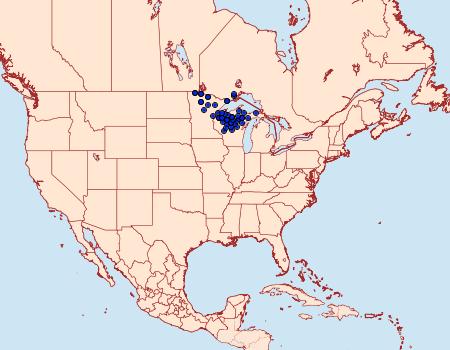 Distribution Data for Glyphipterix haworthana