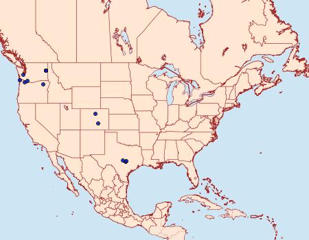 Distribution Data for Ellabella editha