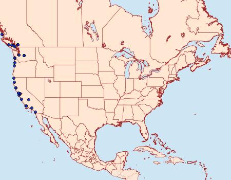 Distribution Data for Eucalantica polita