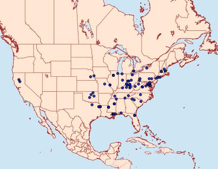 Distribution Data for Homadaula anisocentra