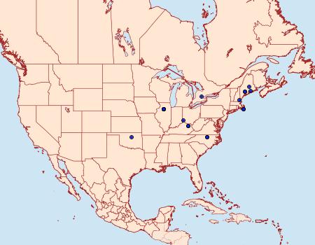 Distribution Data for Antispila isabella