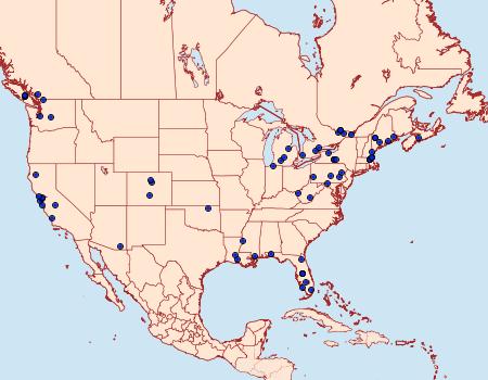 Distribution Data for Plutella porrectella