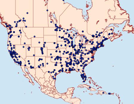 Distribution Data for Plutella xylostella