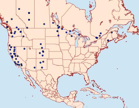 Distribution Data for Ypsolopha canariella