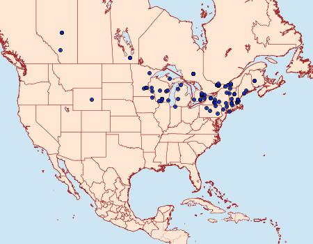 Distribution Data for Ypsolopha dentella