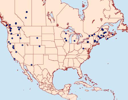 Distribution Data for Ypsolopha falciferella