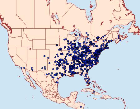 Distribution Data for Atteva aurea