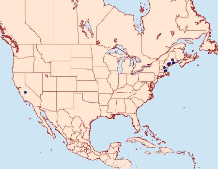 Distribution Data for Ocnerostoma piniariella