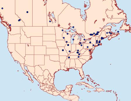 Distribution Data for Swammerdamia caesiella