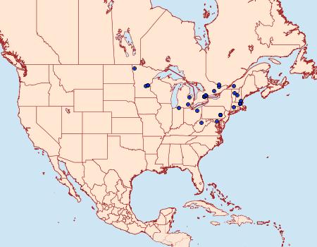 Distribution Data for Wockia asperipunctella