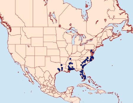 Distribution Data for Urodus parvula