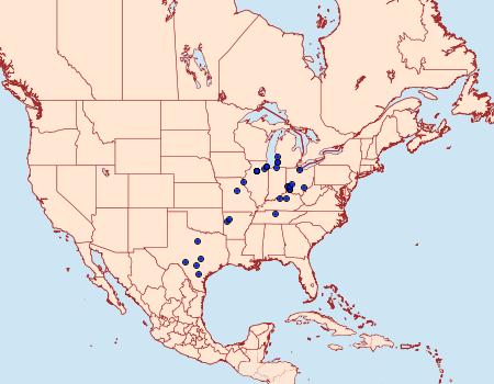 Distribution Data for Prays atomocella